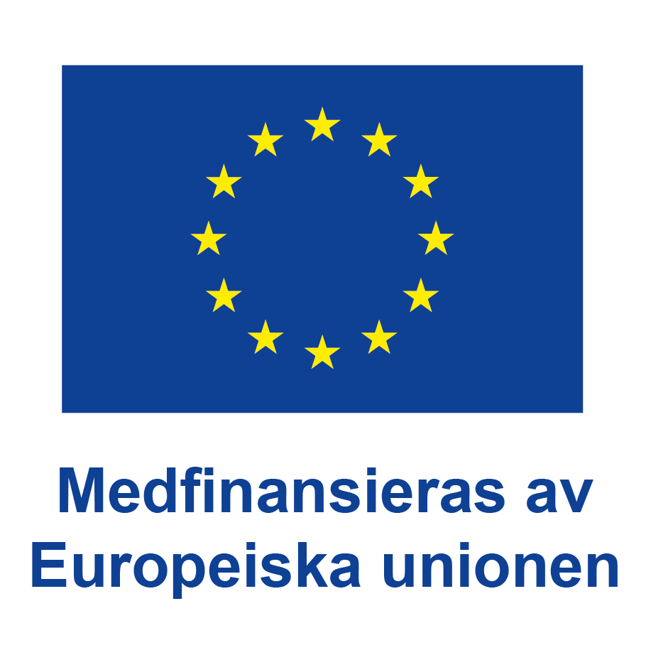SV V Medfinansieras av Europeiska unionen