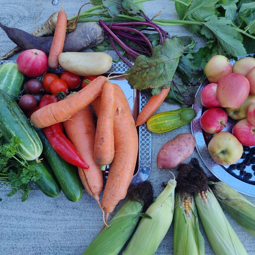 Olika grönsaker som ligger på ett bord
